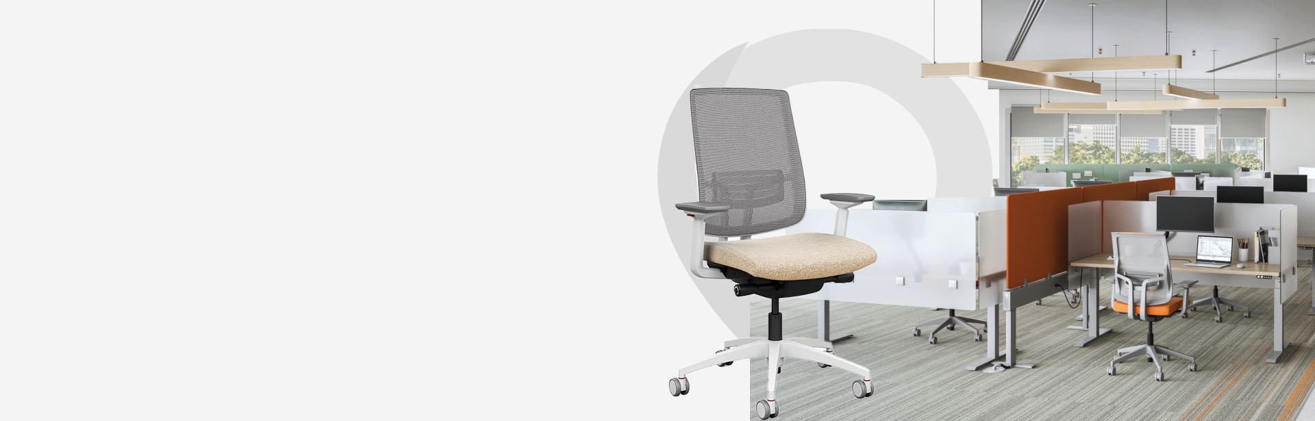 SitoNit focus 2.0